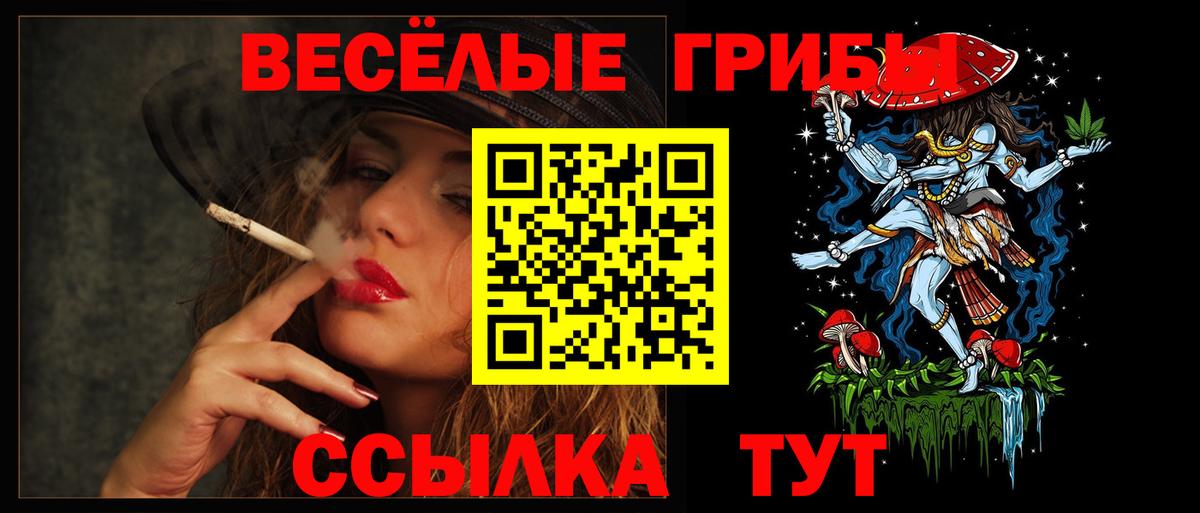 Братск  Псилоцибиновые грибы мухоморы  Вход с VPN 